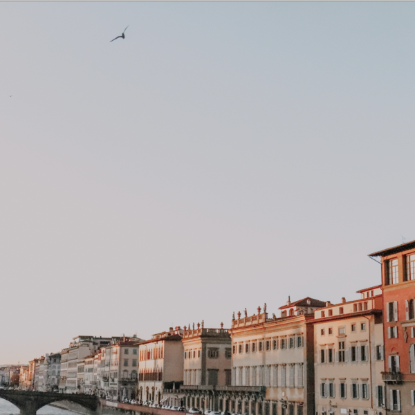 Never Forget to Look Up in Florence